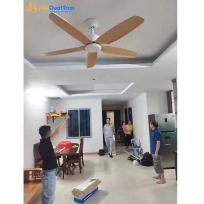 Quạt Trần Airfusion Akamani 0717G